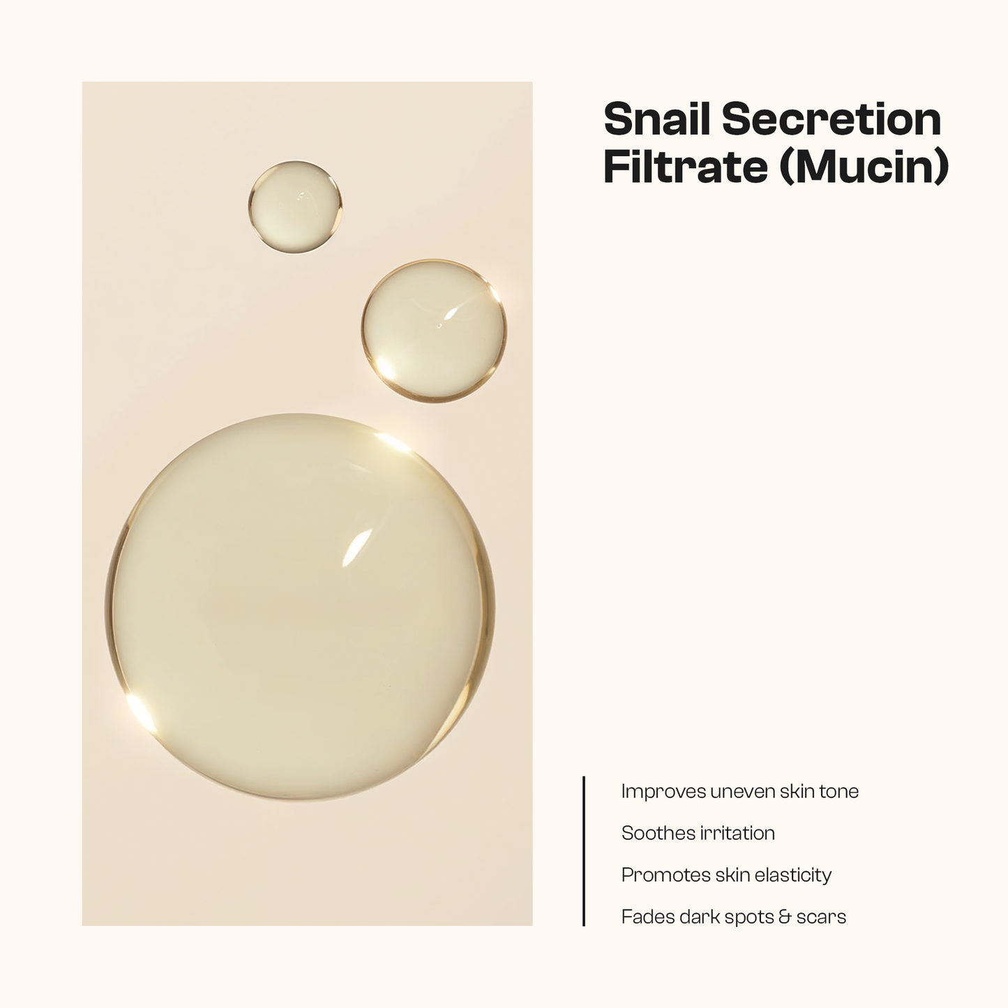 Snail Mucin Essence